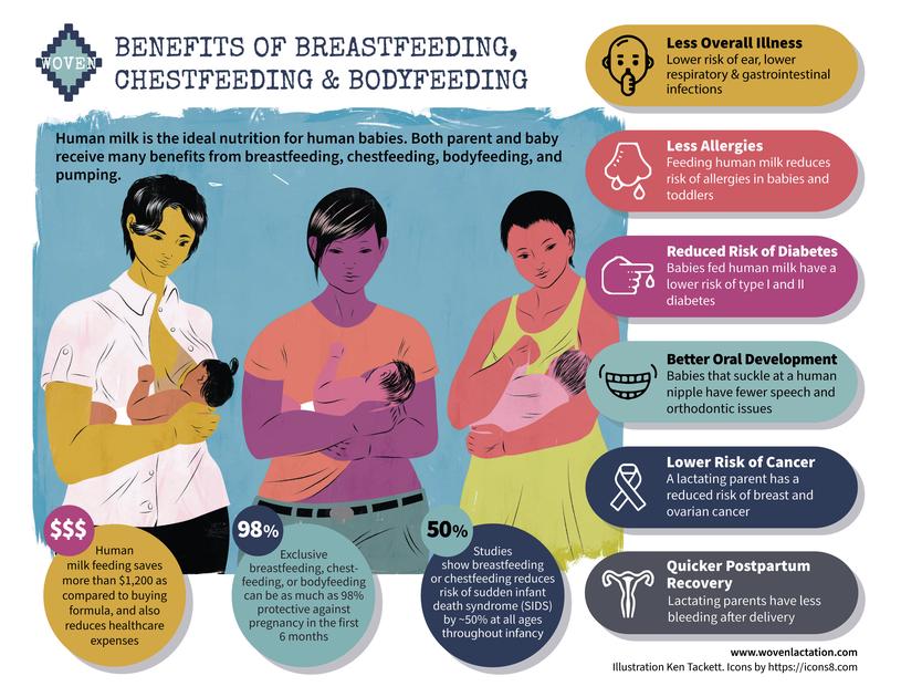 Chestfeeding And Breastfeeding Facts Infographic Woven Blog